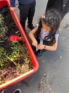 Fun Learning in FS2