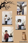 Owl visit - Nursery & Reception