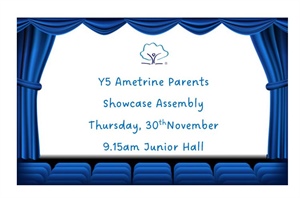 Y5 Ametrine Assembly Showcase