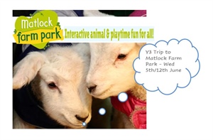 Y3 Trip to Matlock Farm Park