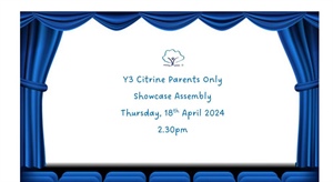 Y3 Citrine Assembly Showcase