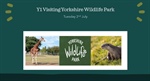 Y1 Trip to Yorkshire Wildlife Park