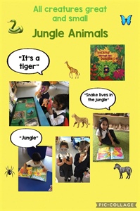 🐅🦓Jungle Animals🐅🦓