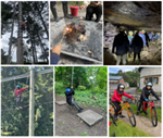 Y6 Residential