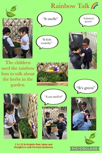 🌈🌿Herb Garden 🌈🌿