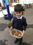 🌱🥔 Potato Picking 🌱🥔