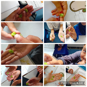 🌟 Year 2 Moonstone Science Adventure 🌟