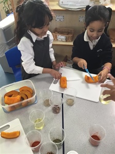 FS2 Learning Update – What a Busy Week!