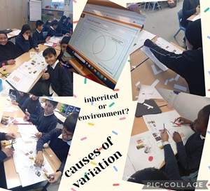 😀Inherited or Environment😀