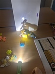 Y6 Science - Light