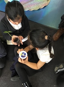 🌟Spring Term Learning in FS2🌟