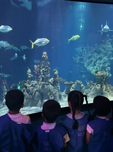 🌊🐟FS2 - The Deep Adventures 🌊🐟