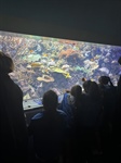 FS2's Fantastic Trip to The Deep!