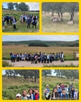 Y4 Peridot Peak District Visit